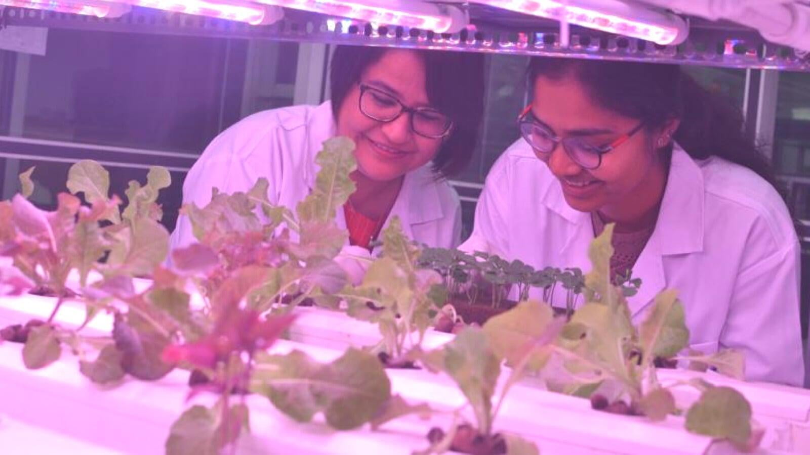 TDS and Its Importance in Hydroponics.
